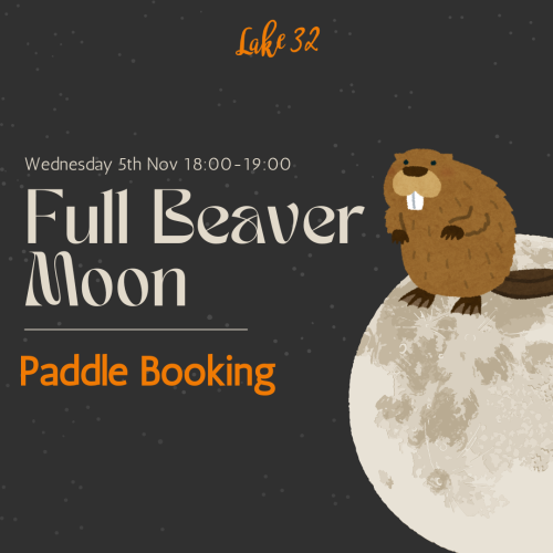 Beaver Moon Paddle Booking